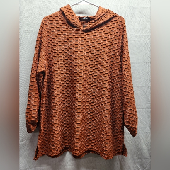 Marissa Olivia Hooded Tunic, Copper, Size 1X - Picture 1 of 7